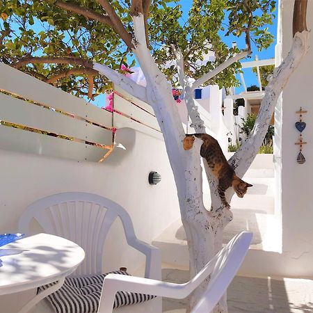 Lemon Tree Maisonette - Naoussa Paros Exterior foto