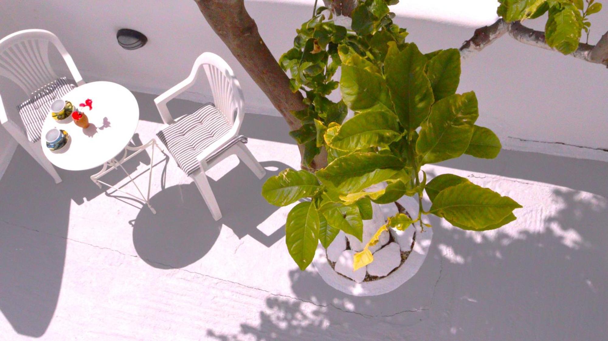 Lemon Tree Maisonette - Naoussa Paros Exterior foto