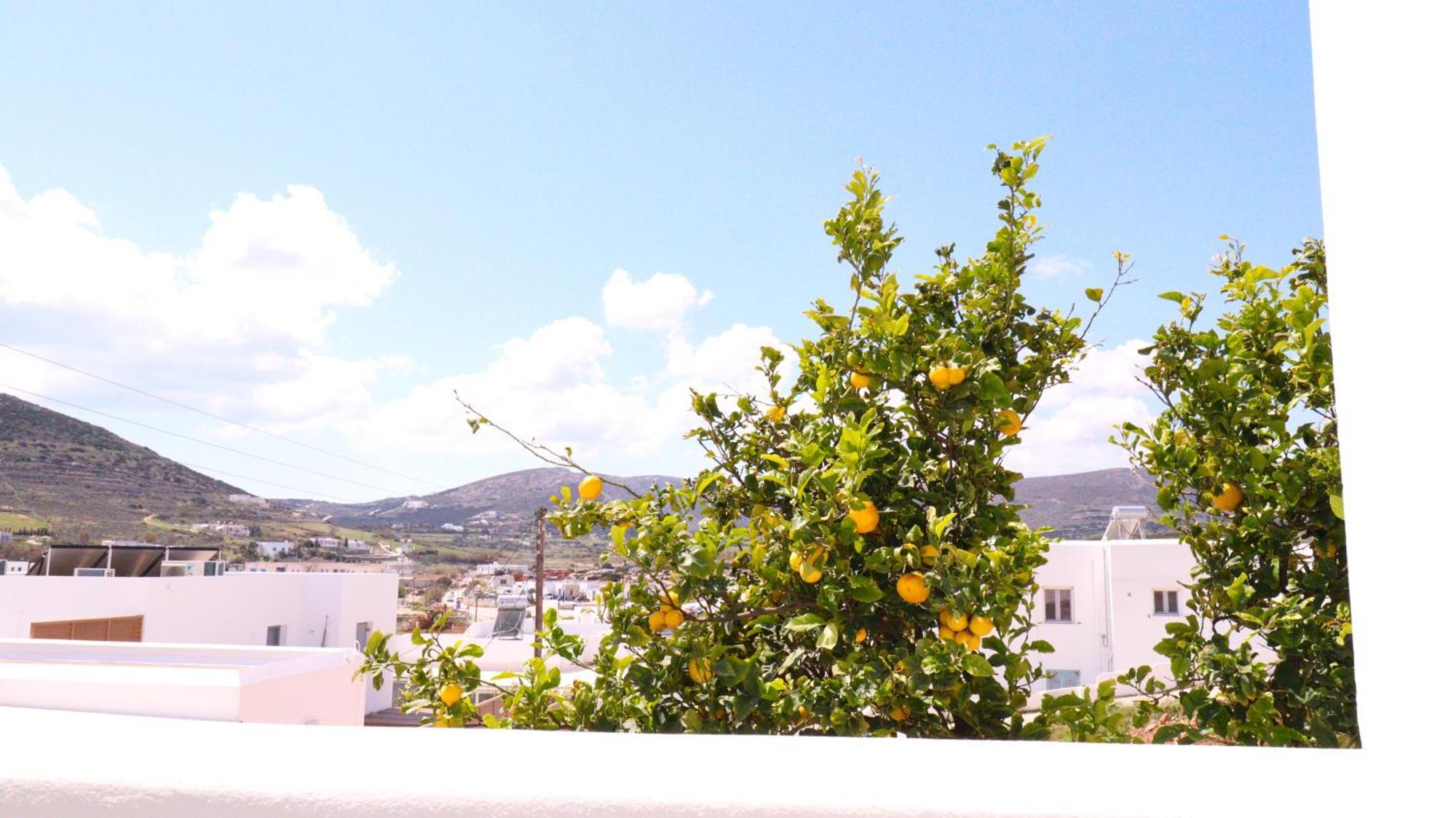 Lemon Tree Maisonette - Naoussa Paros Exterior foto
